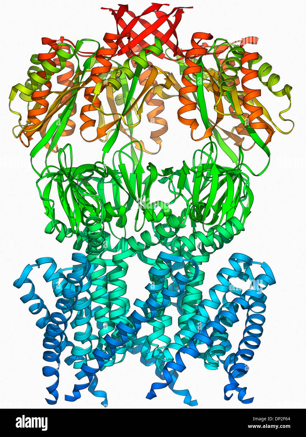 La estructura de las proteínas del canal iónico de MSCS Foto de stock