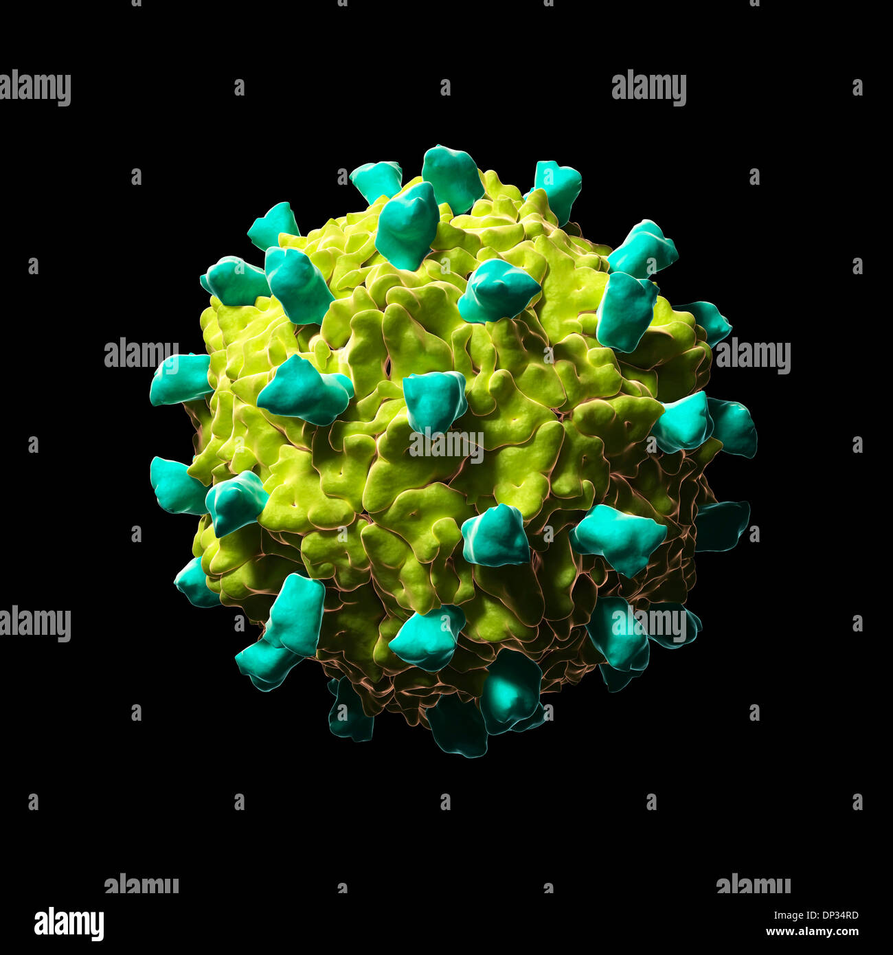 Coxsackie virus fotografías e imágenes de alta resolución Alamy