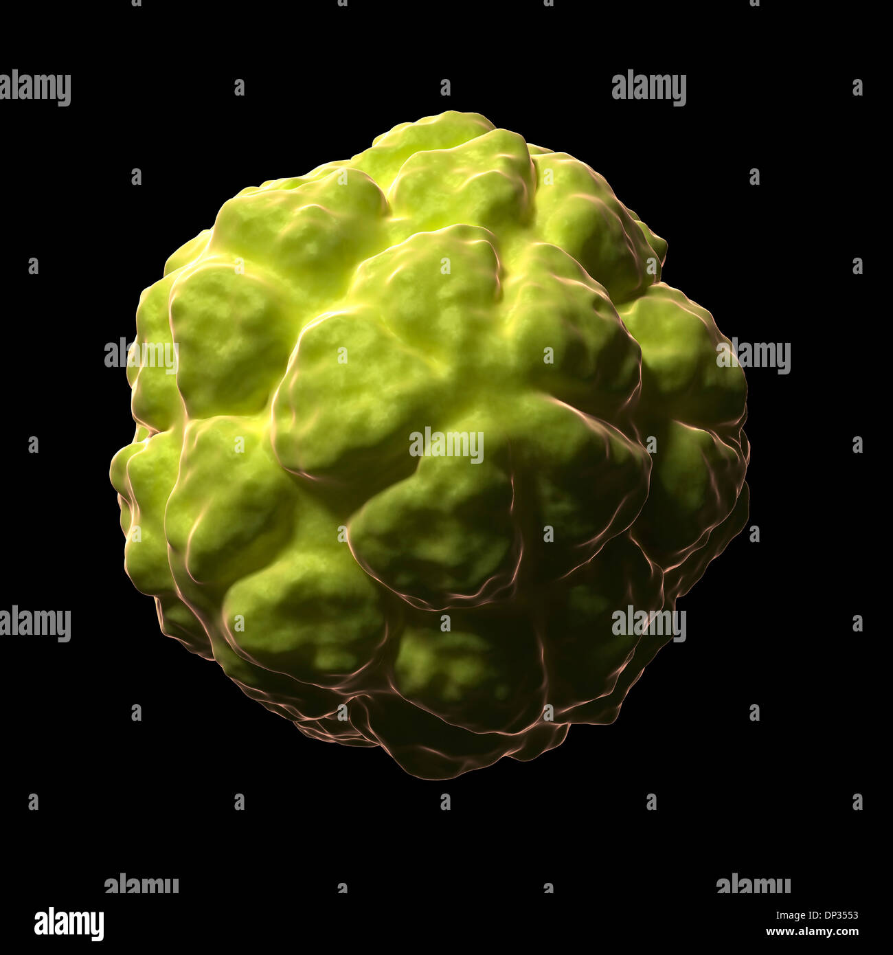 Virus de la necrosis del tabaco por satélite, ilustraciones Fotografía