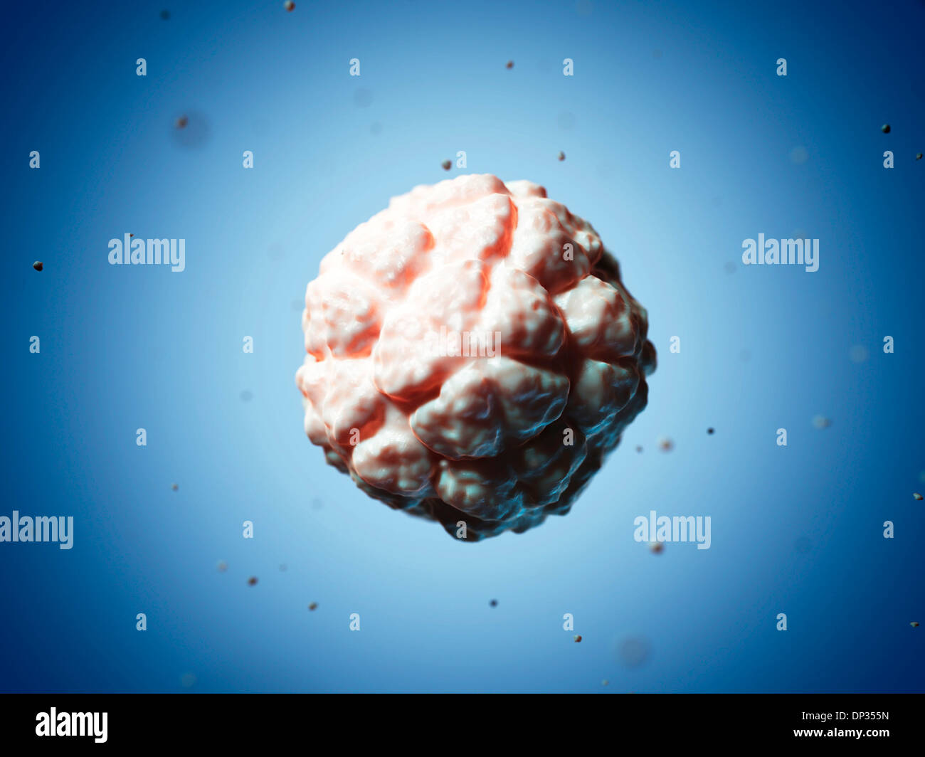 Virus de la necrosis del tabaco por satélite, ilustraciones Fotografía