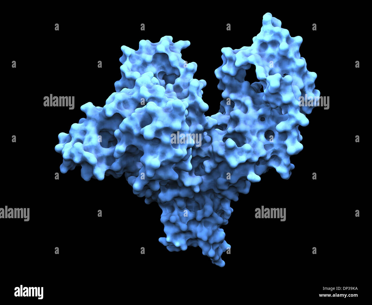 Molécula de albúmina sérica humana Foto de stock