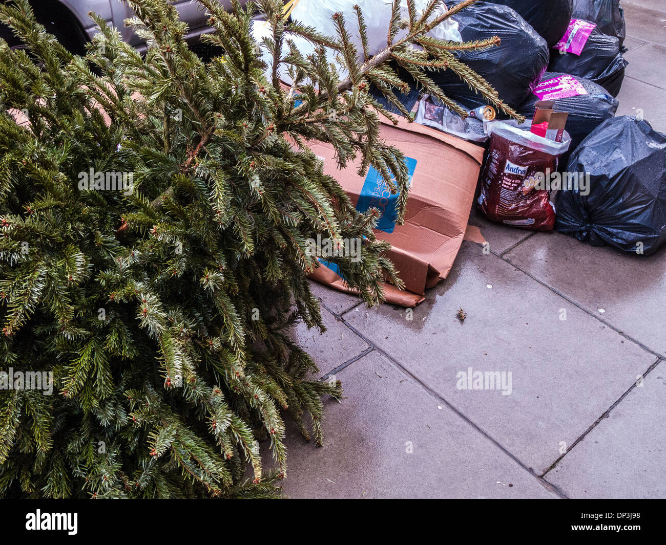 Árbol de navidad de reciclaje y recolección de basura Fotografía de stock -  Alamy