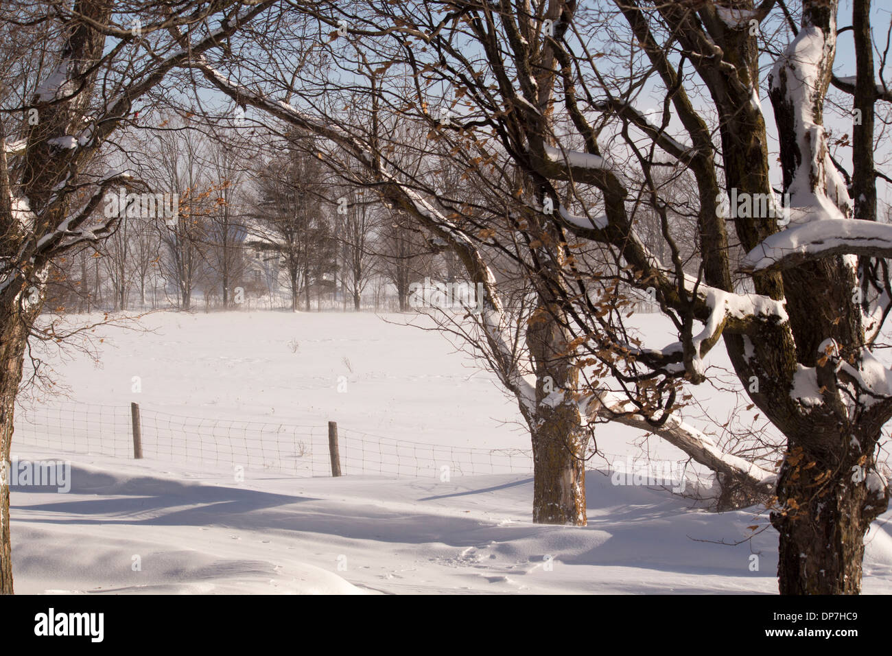 Campo agrícola cubiertos de nieve con soplado y la deriva causada por fuertes vientos. Foto de stock