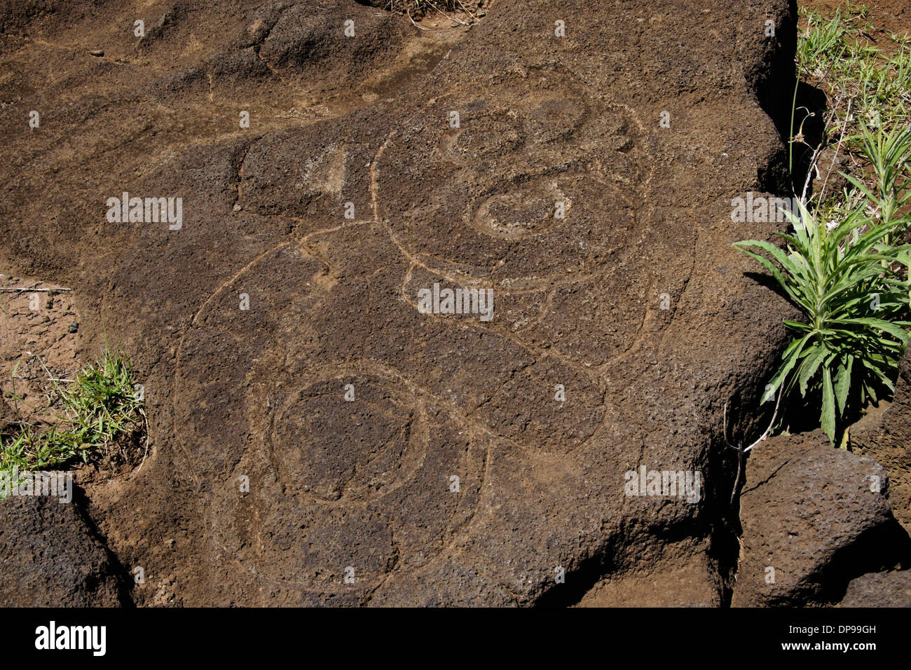 Los petroglifos en roca volcánica, la Isla de Pascua, Chile Foto de stock