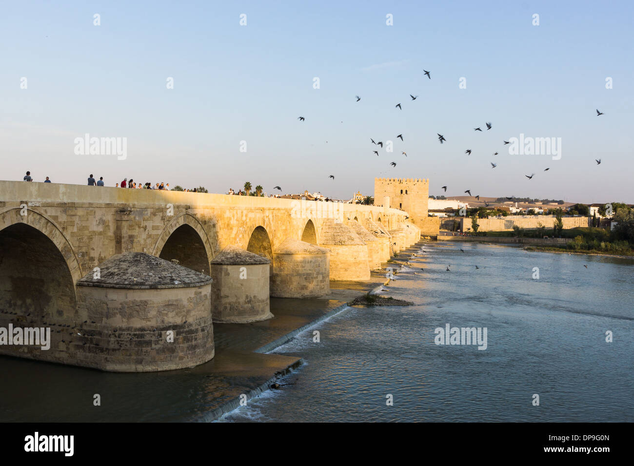 Puente romano sobre el río Guadalquivir y torre de Calahorra Foto de stock