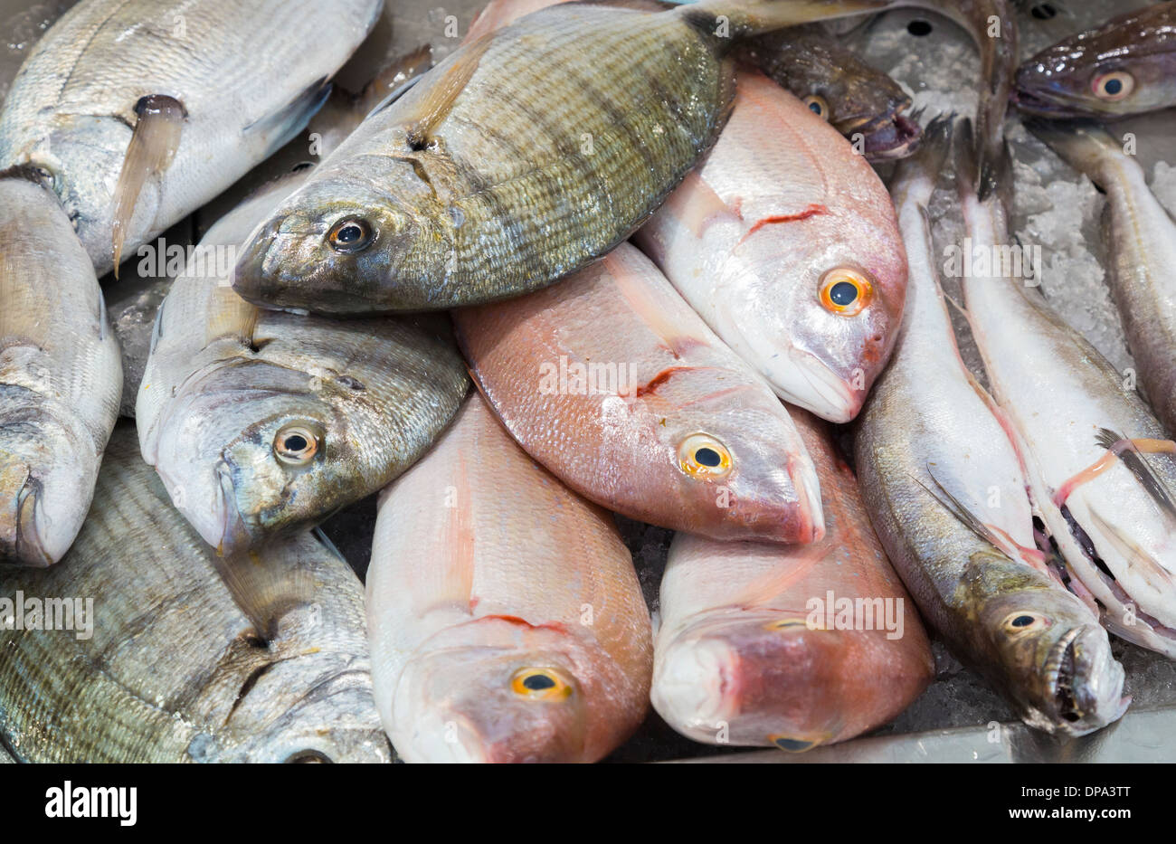 El pescado fresco en el mercado de Loulé, Algarve, Portugal Foto de stock