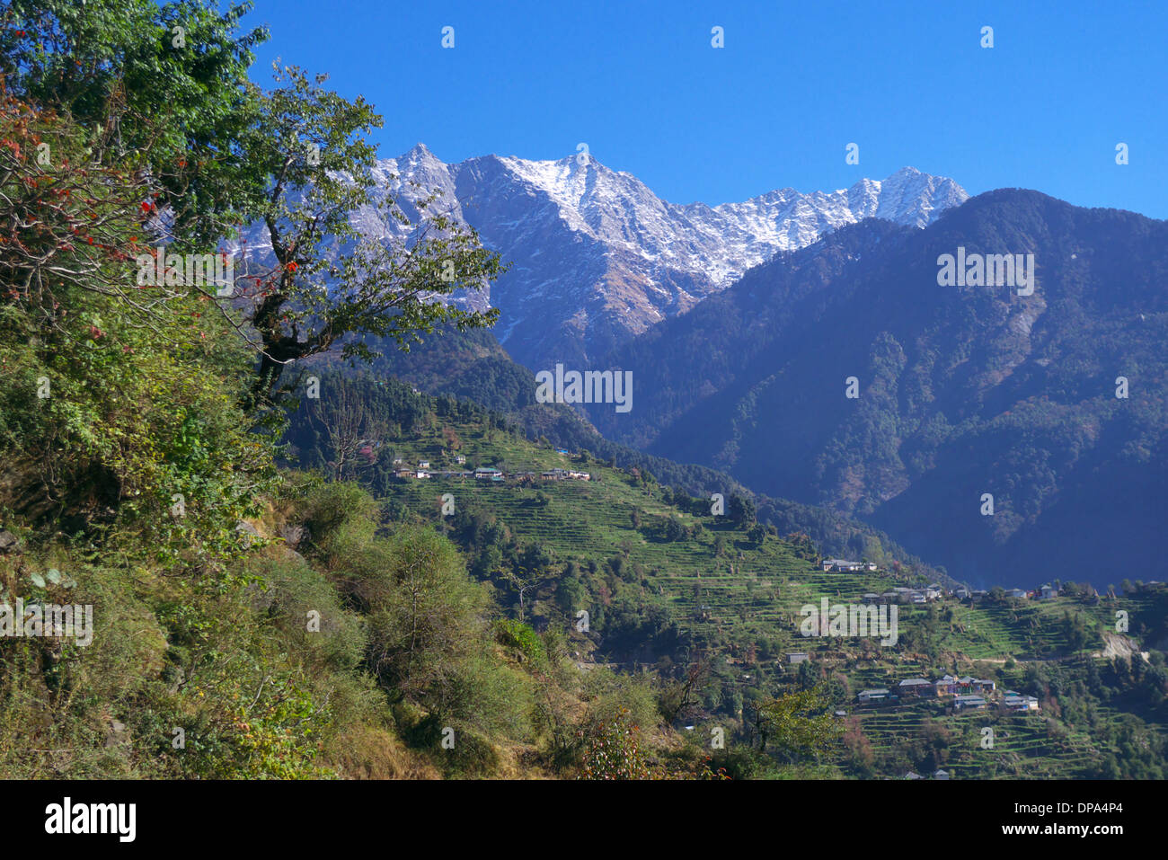 Vista de Kareri village nr Mcleodganj, Dharamasala, Himachal Pradesh, en el norte de la India, con montañas Dhauladhar más allá. Foto de stock