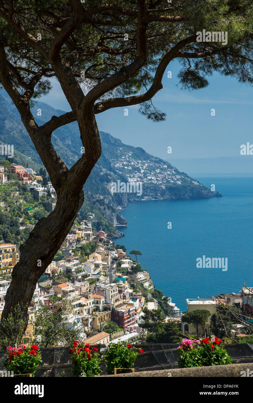 Pino y casas en ladera, Positano, Amalfi Península, Campania, Italia Foto de stock