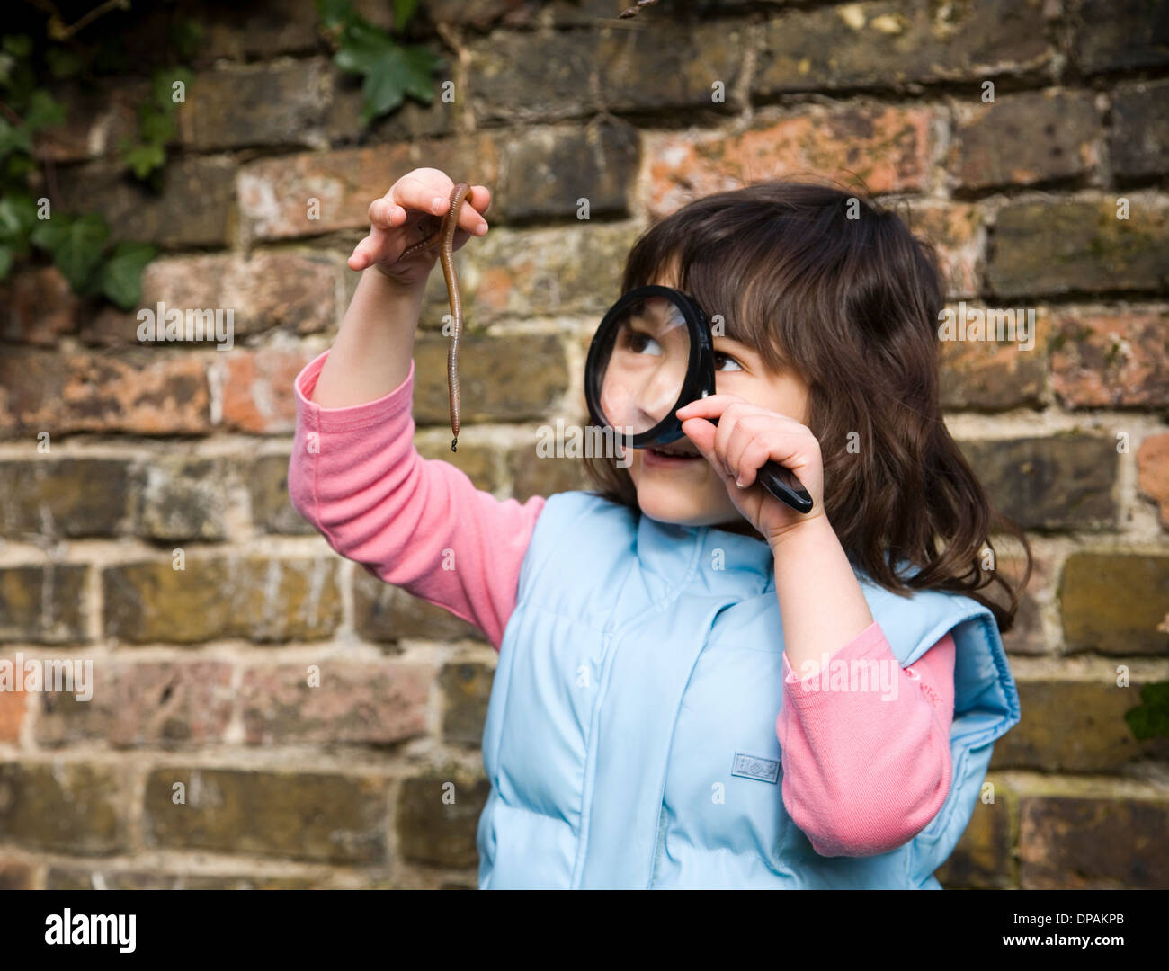 Chica busca al gusano con lupa Foto de stock