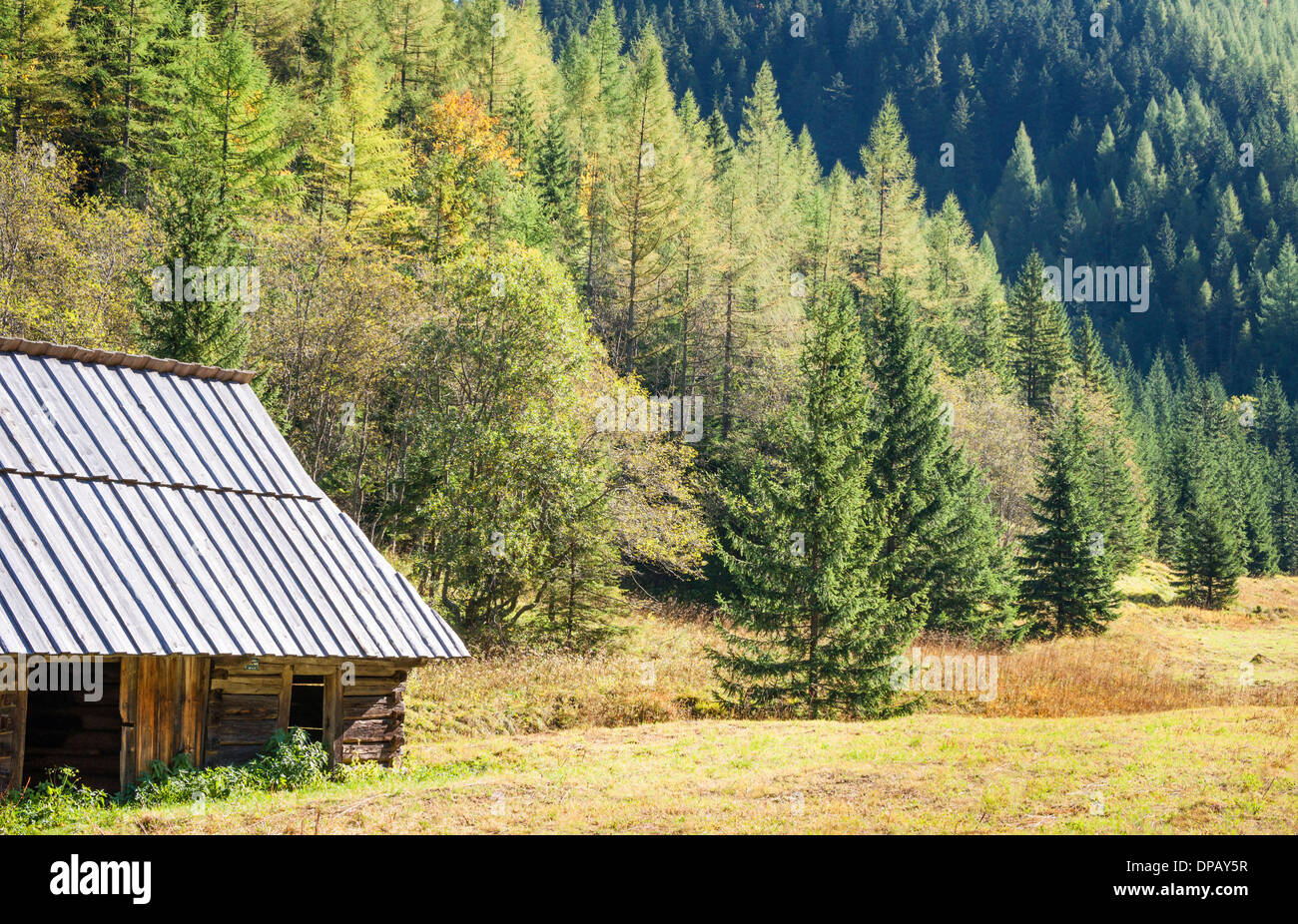 Edificio de madera abandonada en el Parque Nacional Tatra, altas montañas Tatra y Zakopane, Polonia, Europa Foto de stock