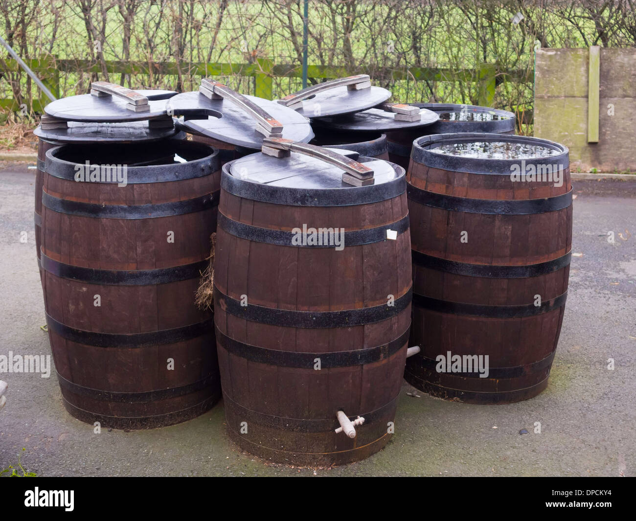 Los tradicionales barriles de madera con aros de hierro para la venta como  agua de colillas en un centro de jardinería Fotografía de stock - Alamy