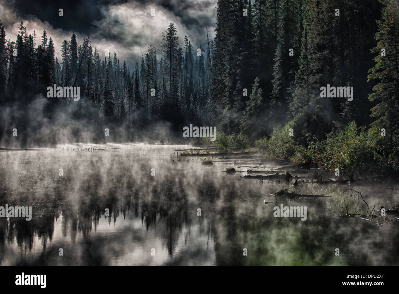 Niebla de la mañana, Rocky Mountain Lake Foto de stock