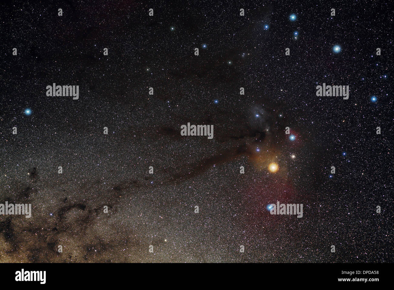 Escorpio, Constellation, Antares región Foto de stock