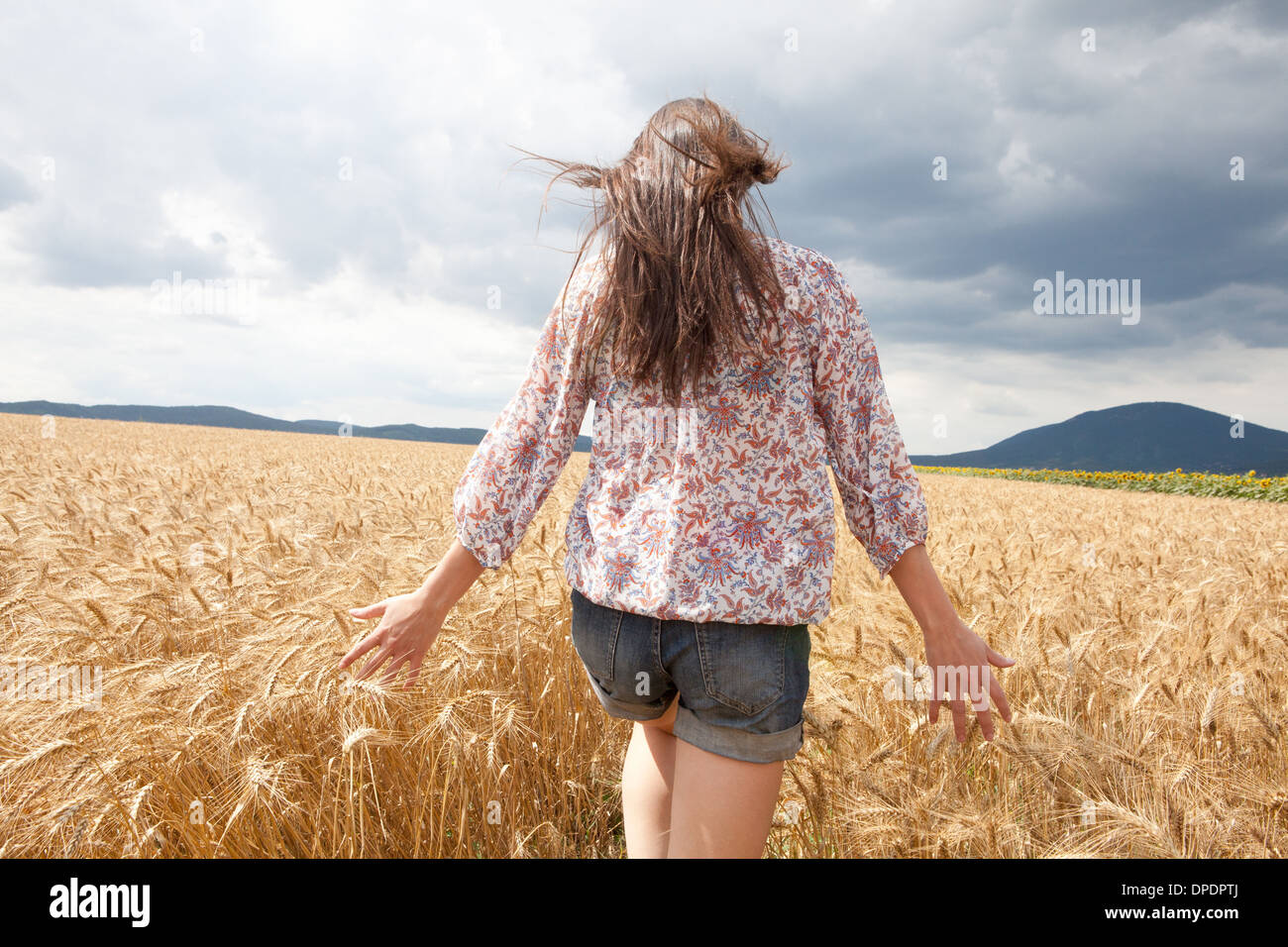 Mujer adulta media caminando a través de campo de trigo Foto de stock