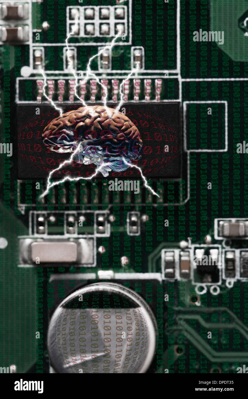 Foto de estudio del cerebro conectada a la tecnología de datos Foto de stock