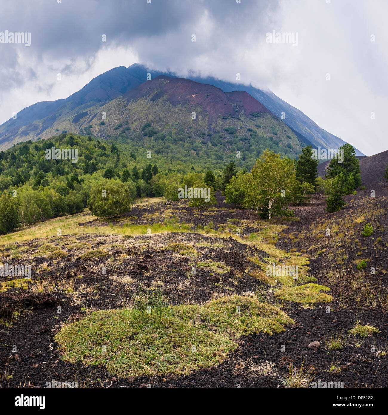 El volcán Etna, casco de lava de una erupción, Sitio del Patrimonio Mundial de la UNESCO, Sicilia, Italia, Europa Foto de stock