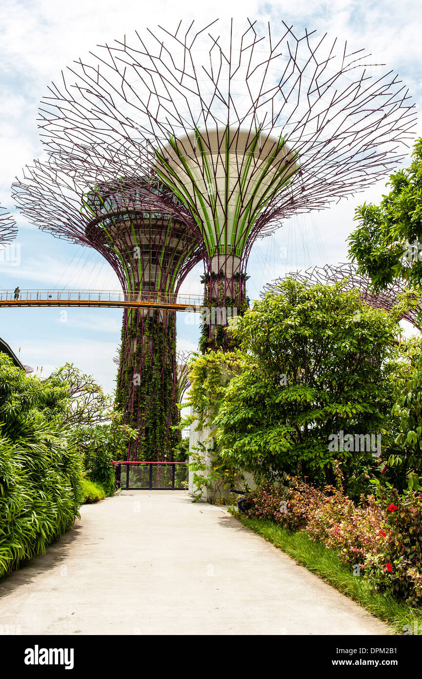 Los árboles solares en los jardines junto a la bahía de Singapur. Los árboles solares en el Grove supertree fueron agregados en junio, 2013 Foto de stock