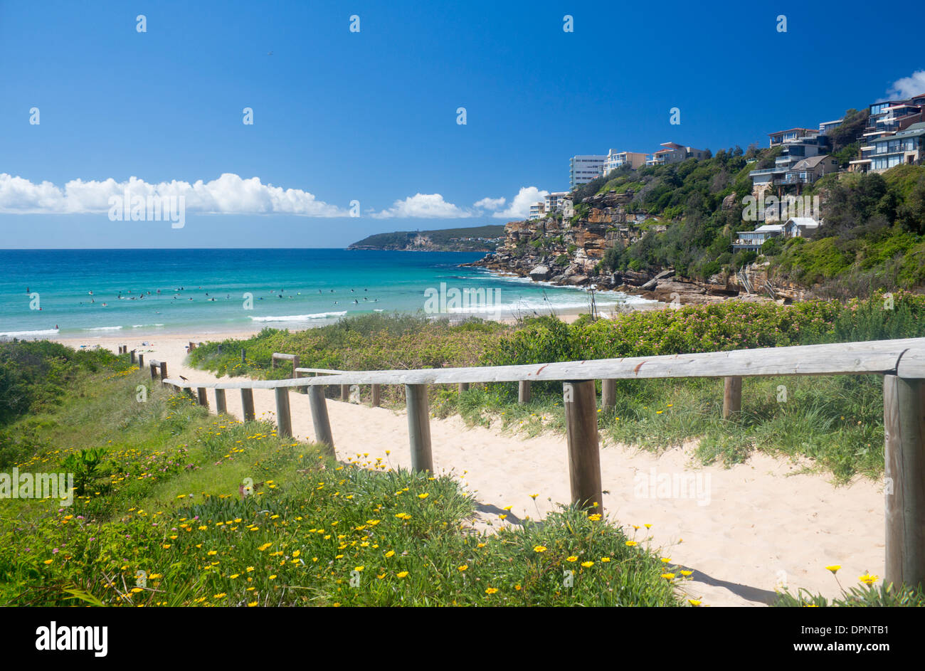 Playa de agua dulce playas del norte Warringah Sydney, New South Wales Australia Foto de stock