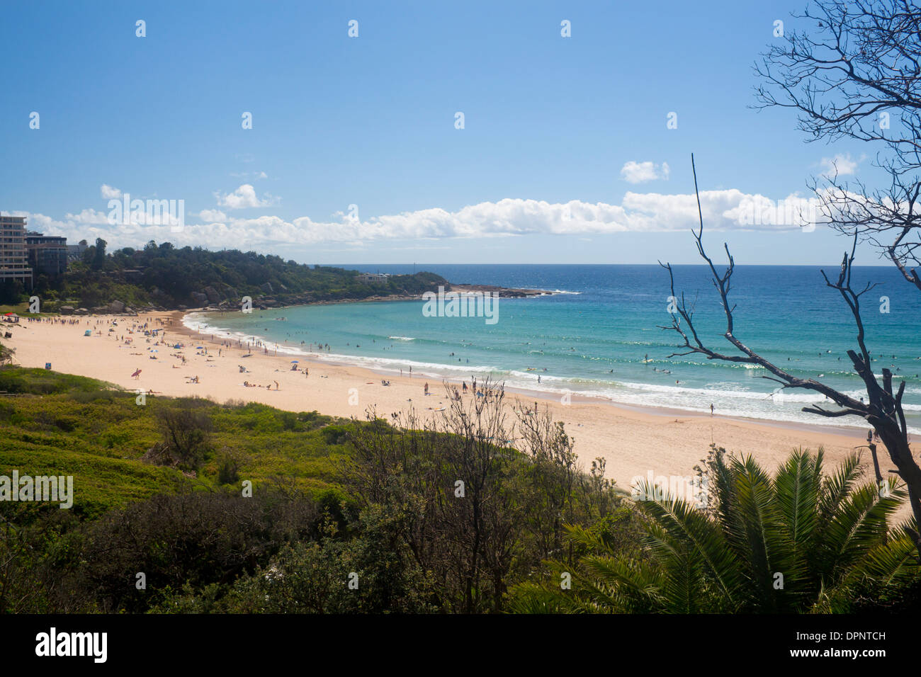 Playa de agua dulce con los surfistas de mar Playas del Norte Warringah Sydney, New South Wales Australia Foto de stock