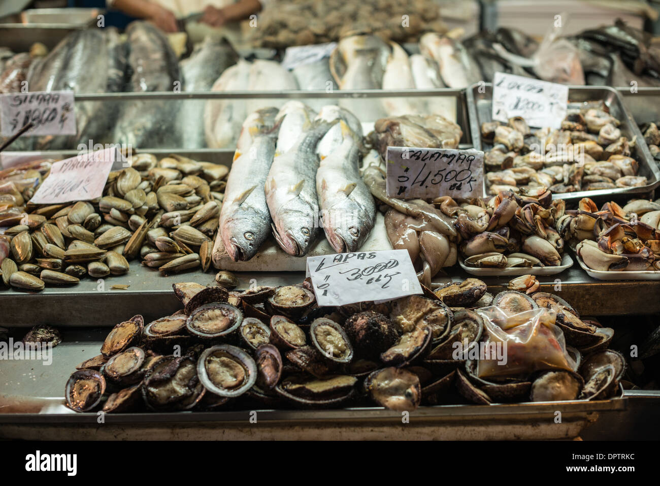 Pescado fresco en el mercado de alimentos del mercado central de abastos  fotografías e imágenes de alta resolución - Alamy