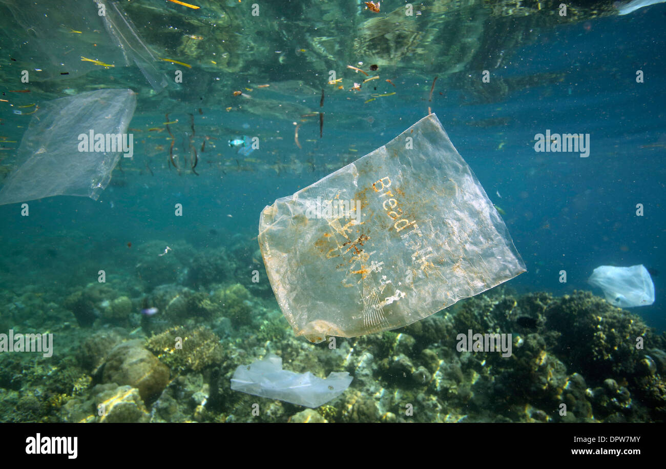 Plastic bag floating over reef in the ocean fotografías e imágenes de alta  resolución - Alamy