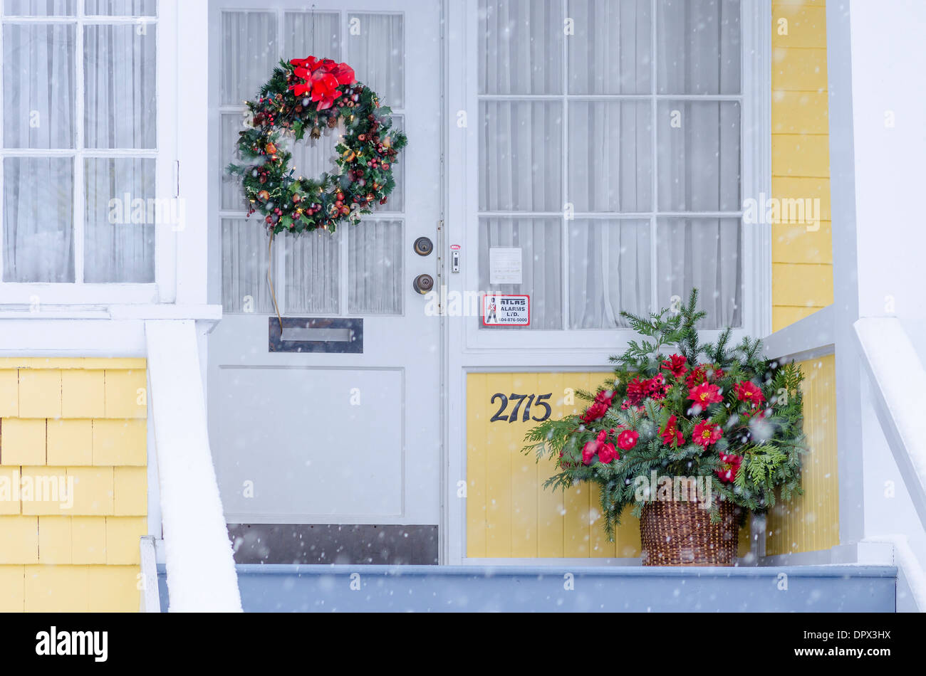 Y la planta de Navidad en el porche mientras la nieve cae. Foto de stock