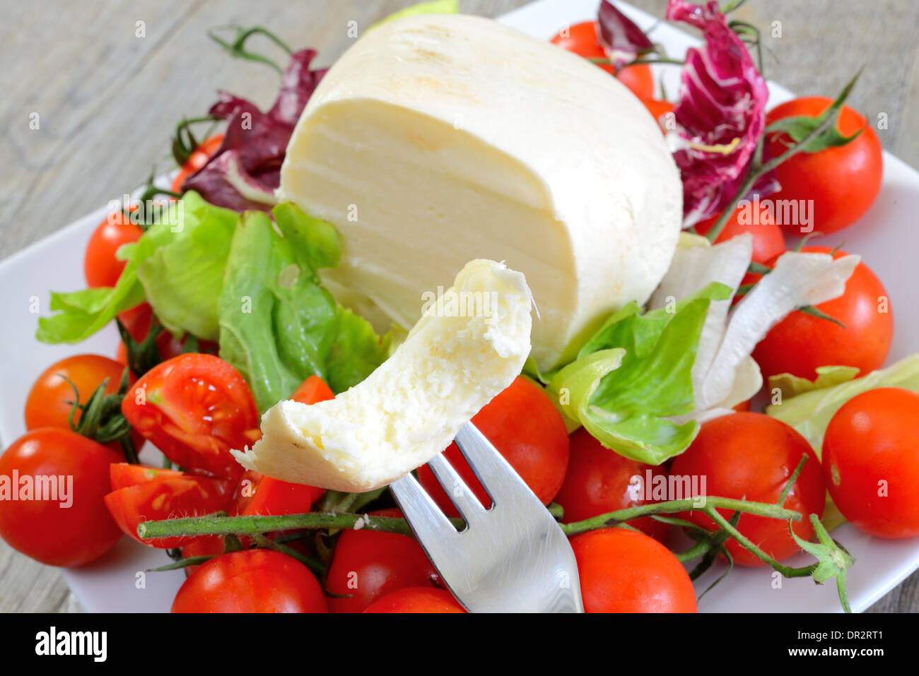 Los quesos de pasta hilada que queso ahumado con tomate Fotografía de