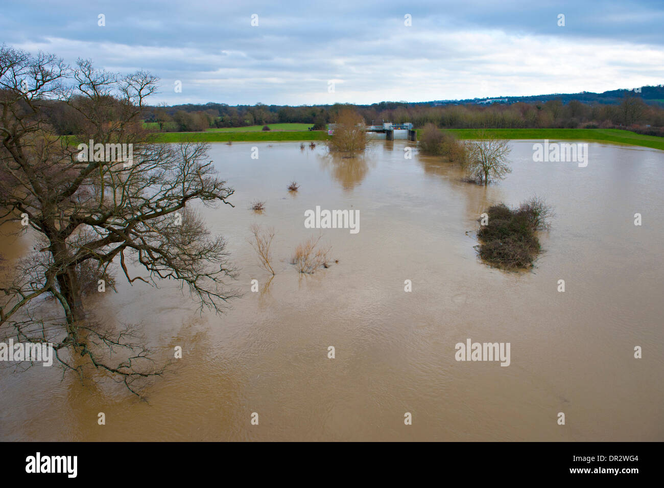 Leigh, Tonbridge, Kent, UK. El 18 de enero de 2014. La barrera contra inundaciones Leigh, cerca de Tonbridge, fue construido en el año 1982 reduce el riesgo de inundaciones en Tonbridge. Las puertas se han cerrado parcialmente para permitir que el agua se acumule en la zona de almacenamiento. © Patrick nairne/Alamy Live News Foto de stock