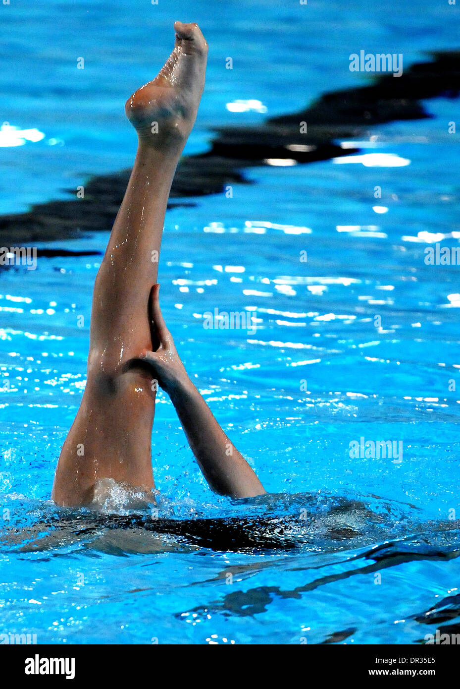 Palma de Mallorca, España. 18th, Enero. 2014. El nadador español y medallista olímpico Ona Carbonell, hace una exposición en una nueva piscina en Palma de Mallorca. Joan Llado/Alamy Live News. Foto de stock