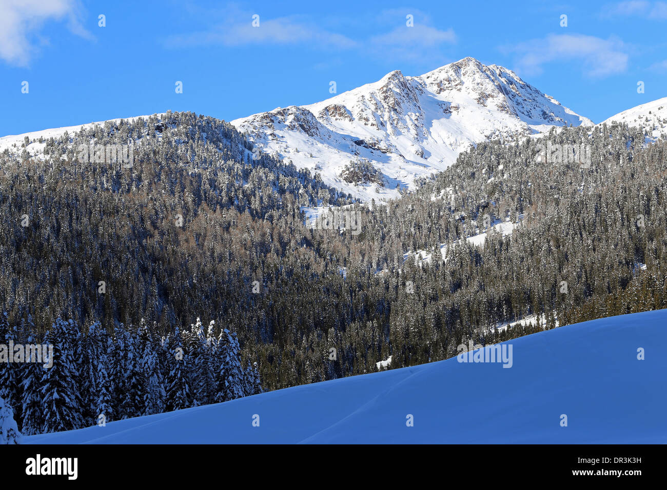 Cima Bocche pico de montaña, bosque de coníferas. La temporada de invierno. Los Dolomitas de Trentino. Italia. Foto de stock