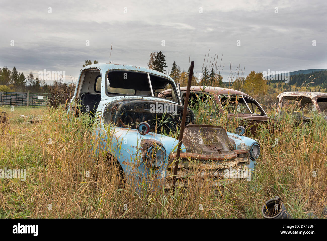 Camiones y coches viejos abandonados, en una granja cerca de probable, región Cariboo-Chilcotin, British Columbia Foto de stock