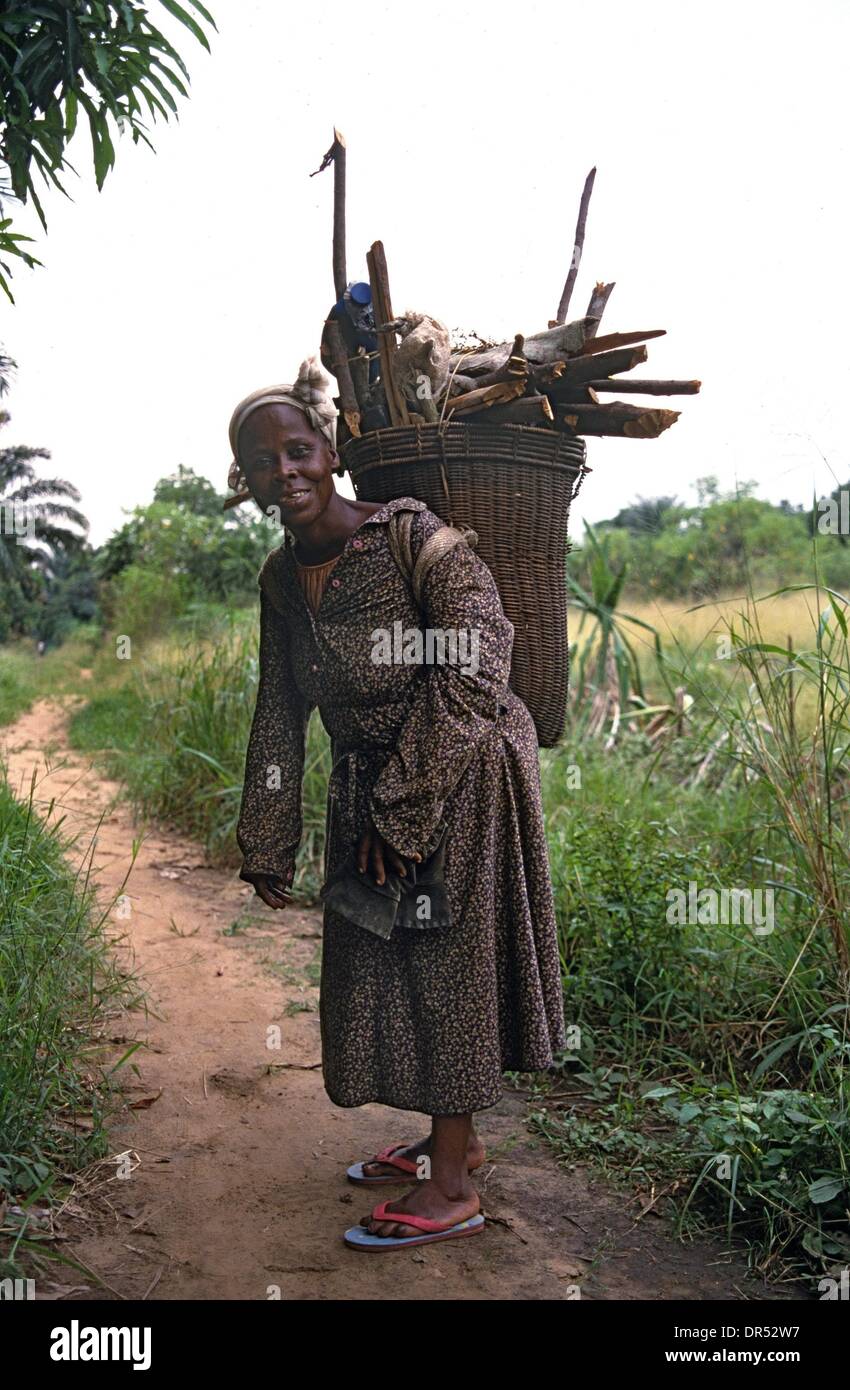 La mujer lleva la leña en su espalda Foto de stock
