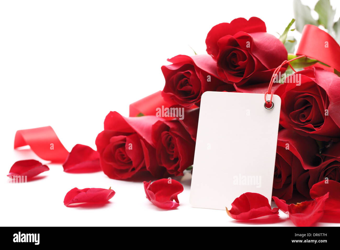 Tarjeta y rosas sobre fondo blanco. Foto de stock