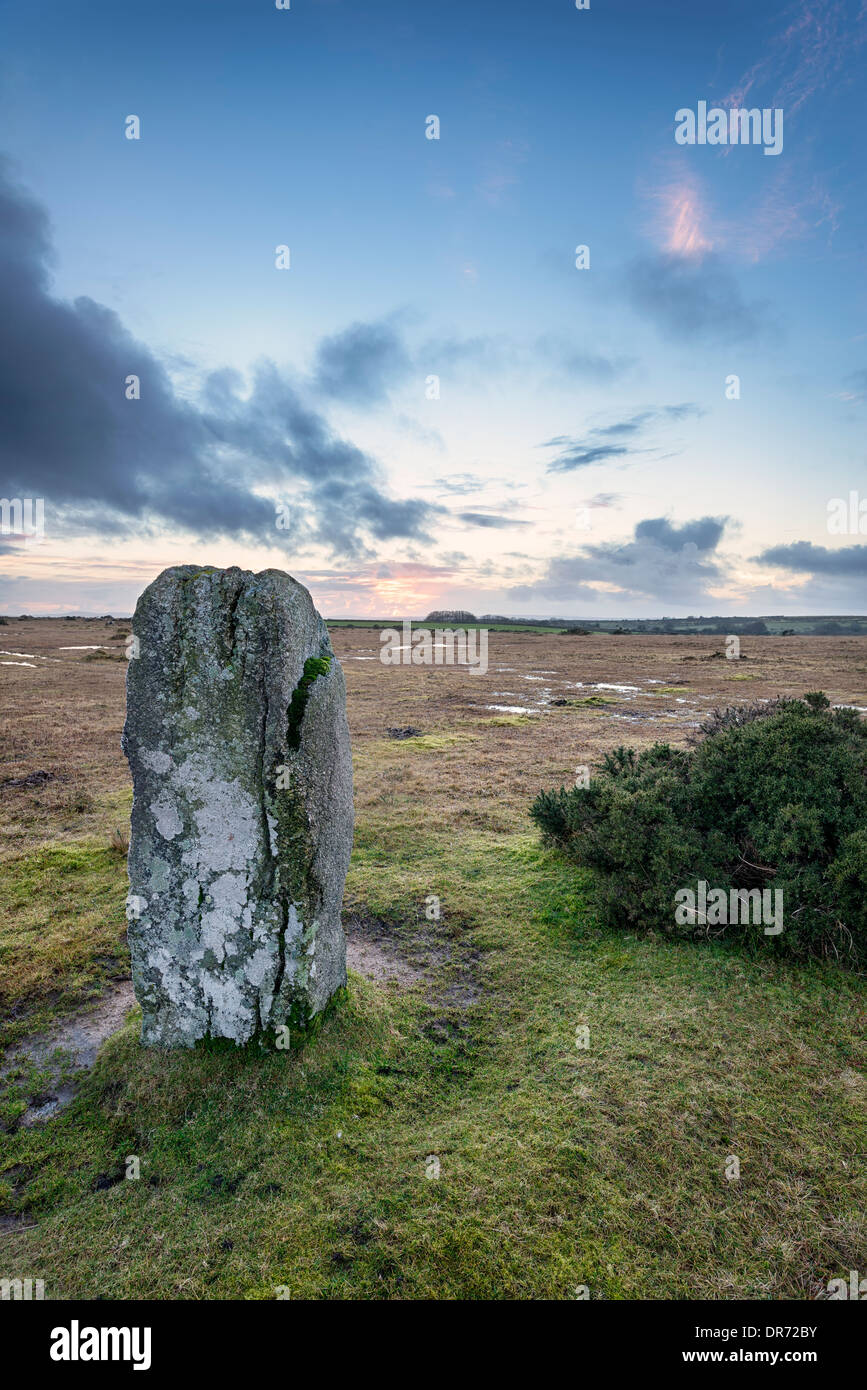 De pie en la piedra Trippet Piedras en Bodmin Moor en Cornwall. Foto de stock