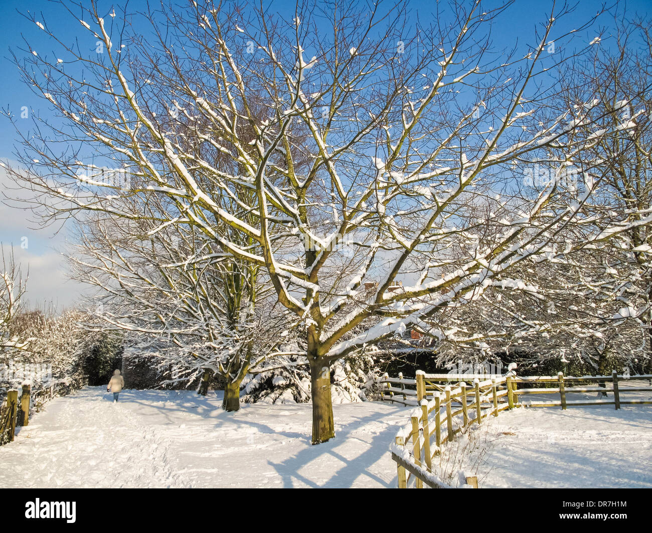 Kent paisaje cubierto de nieve en el REINO UNIDO Foto de stock