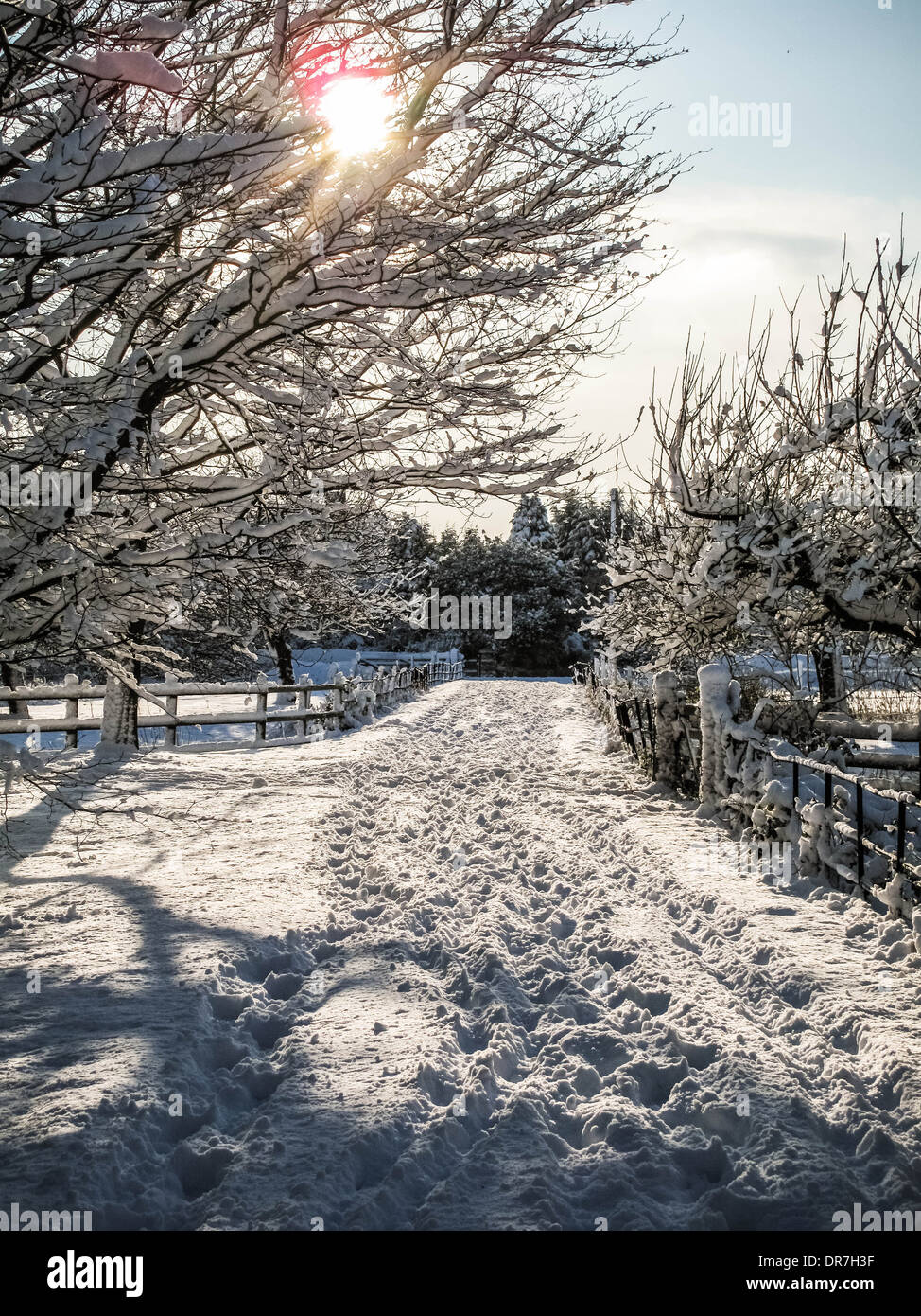 Kent paisaje cubierto de nieve en el REINO UNIDO Foto de stock