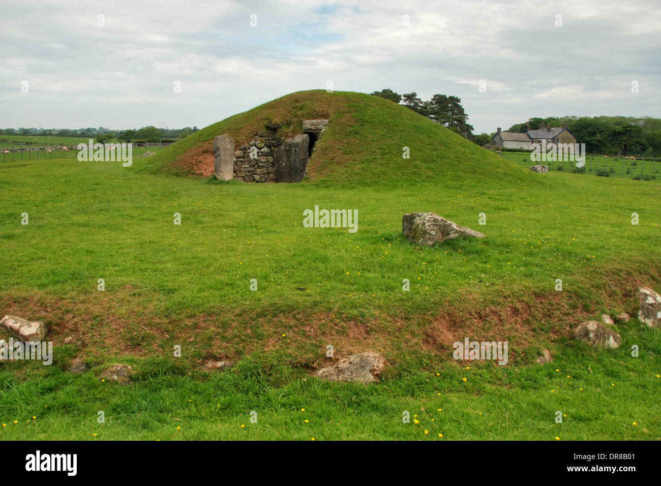 Cámara de enterramiento neolítico en Bryn Celli Ddu, en la isla de Anglesey Foto de stock