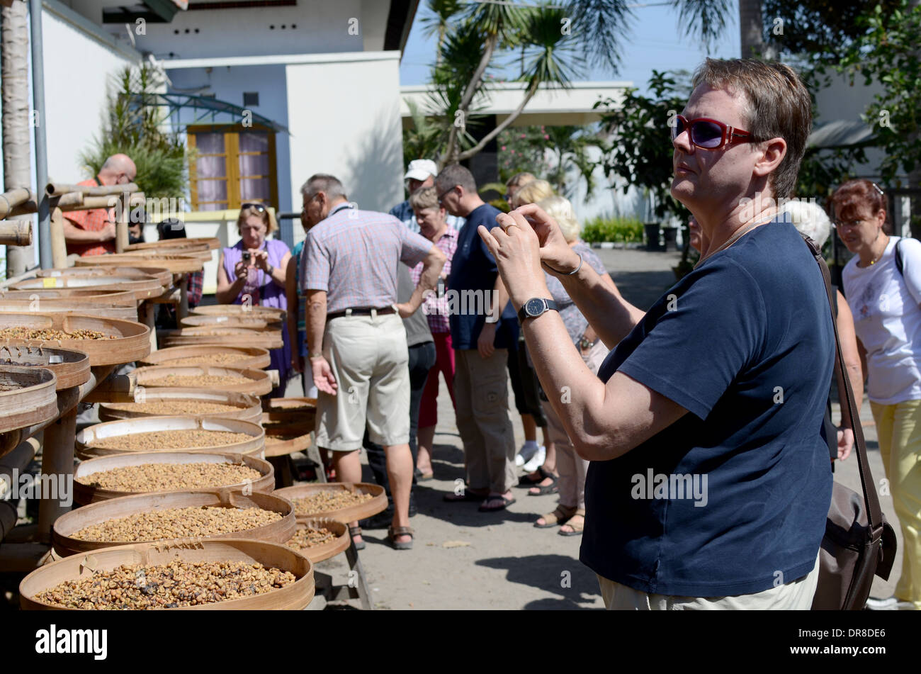Los turistas procedentes de Alemania observando el proceso de hacer café de los excrementos de los cautivos Civetas asiáticas (Luwaks) en un rancho Foto de stock