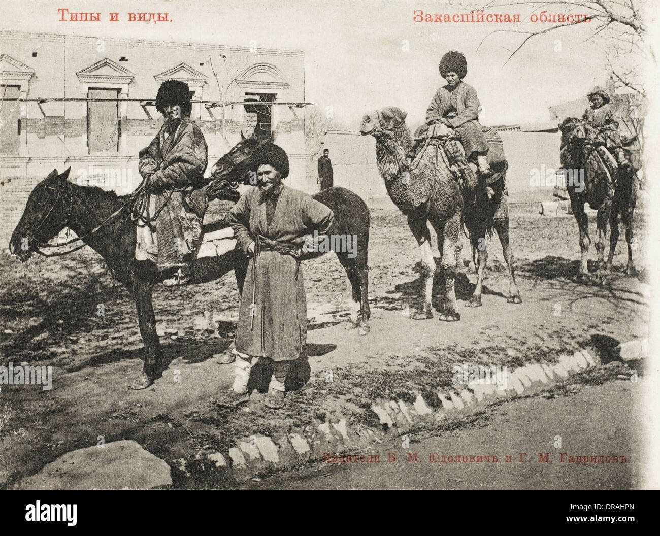 Los hombres caucásicos con camellos Foto de stock