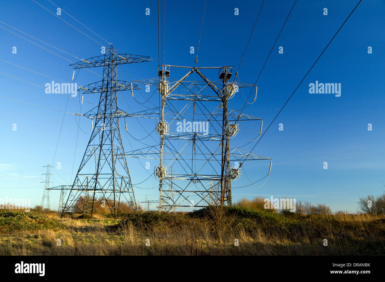 El suministro de electricidad Torres o postes, Newport, Gales del Sur. Foto de stock