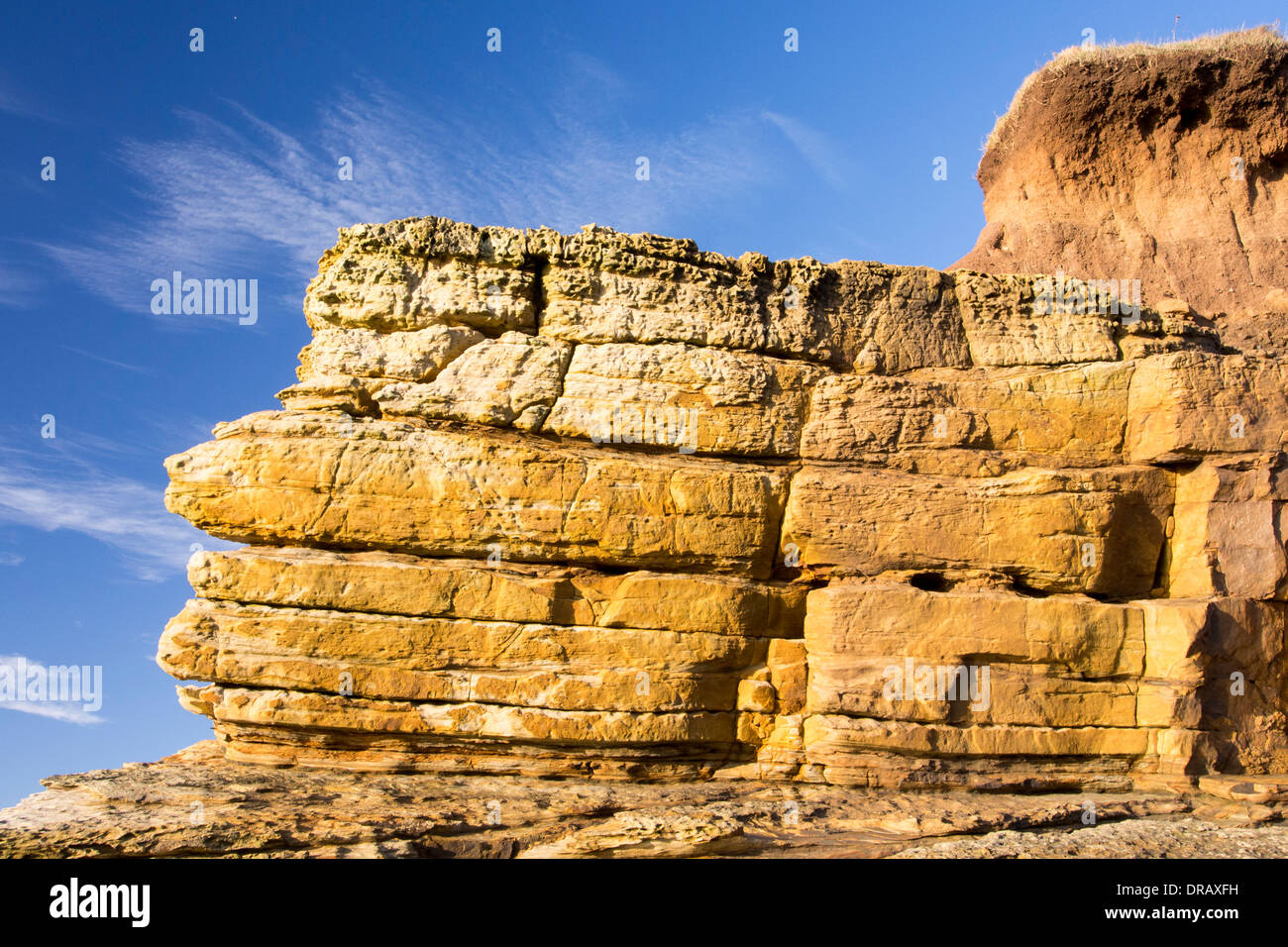 Acantilados cerca de Craster sedimentaria, Northumberland, Reino Unido. Foto de stock