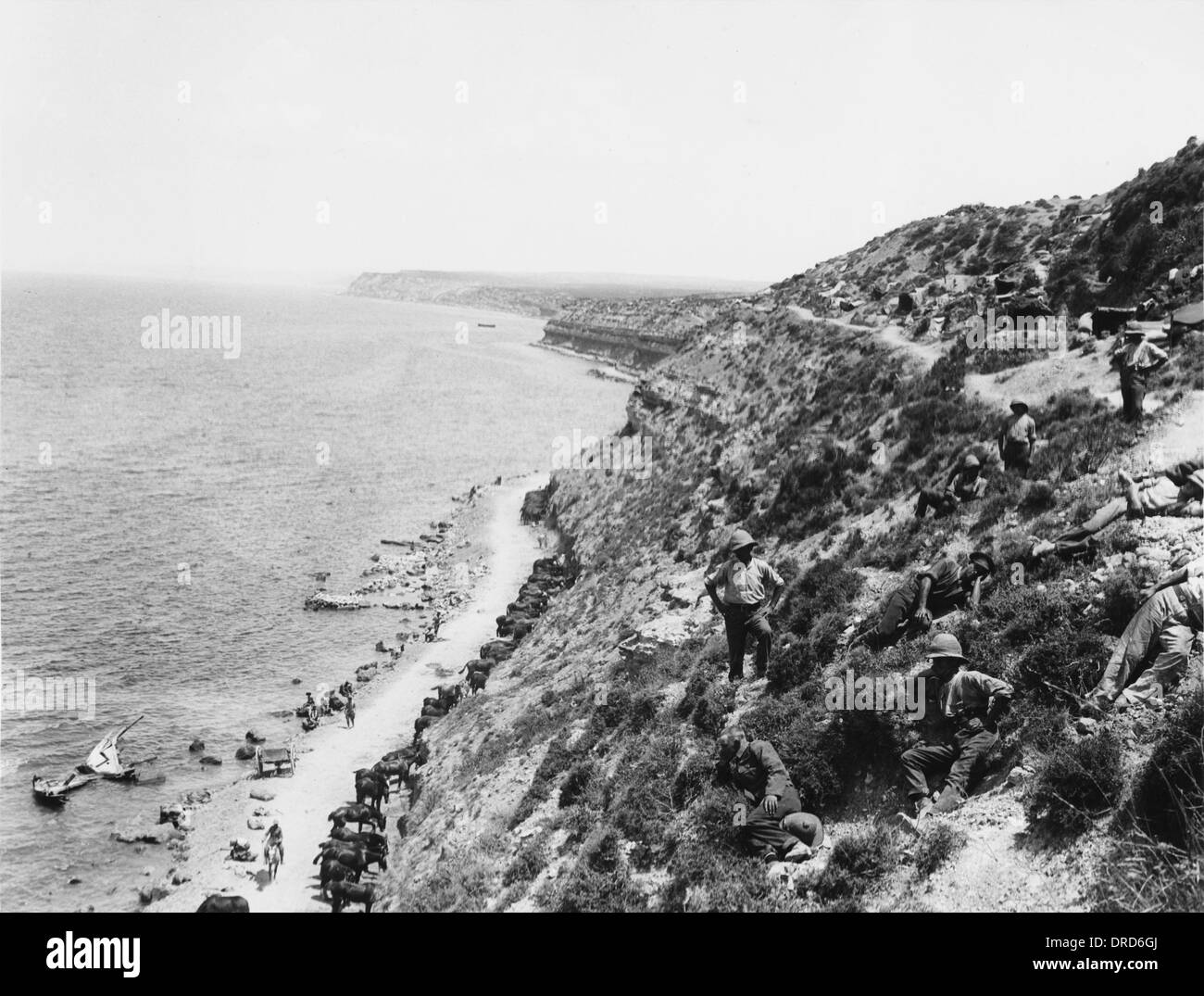 Gallipoli primera guerra mundial Foto de stock