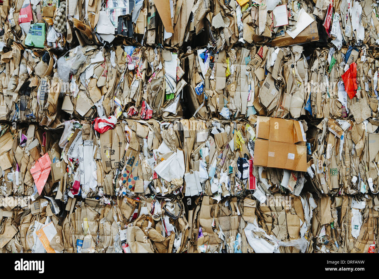 El estado de Washington, EE.UU. Paquetes de instalación para el reciclaje de cartón ordenados Foto de stock