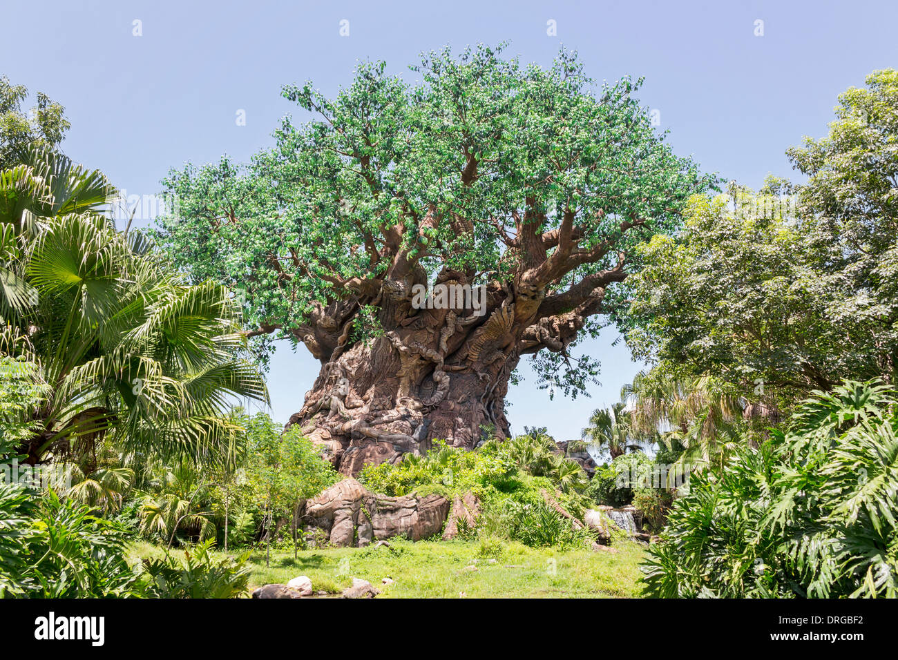 El árbol de la vida en el Reino Animal en Walt Disney World en Florida. Foto de stock