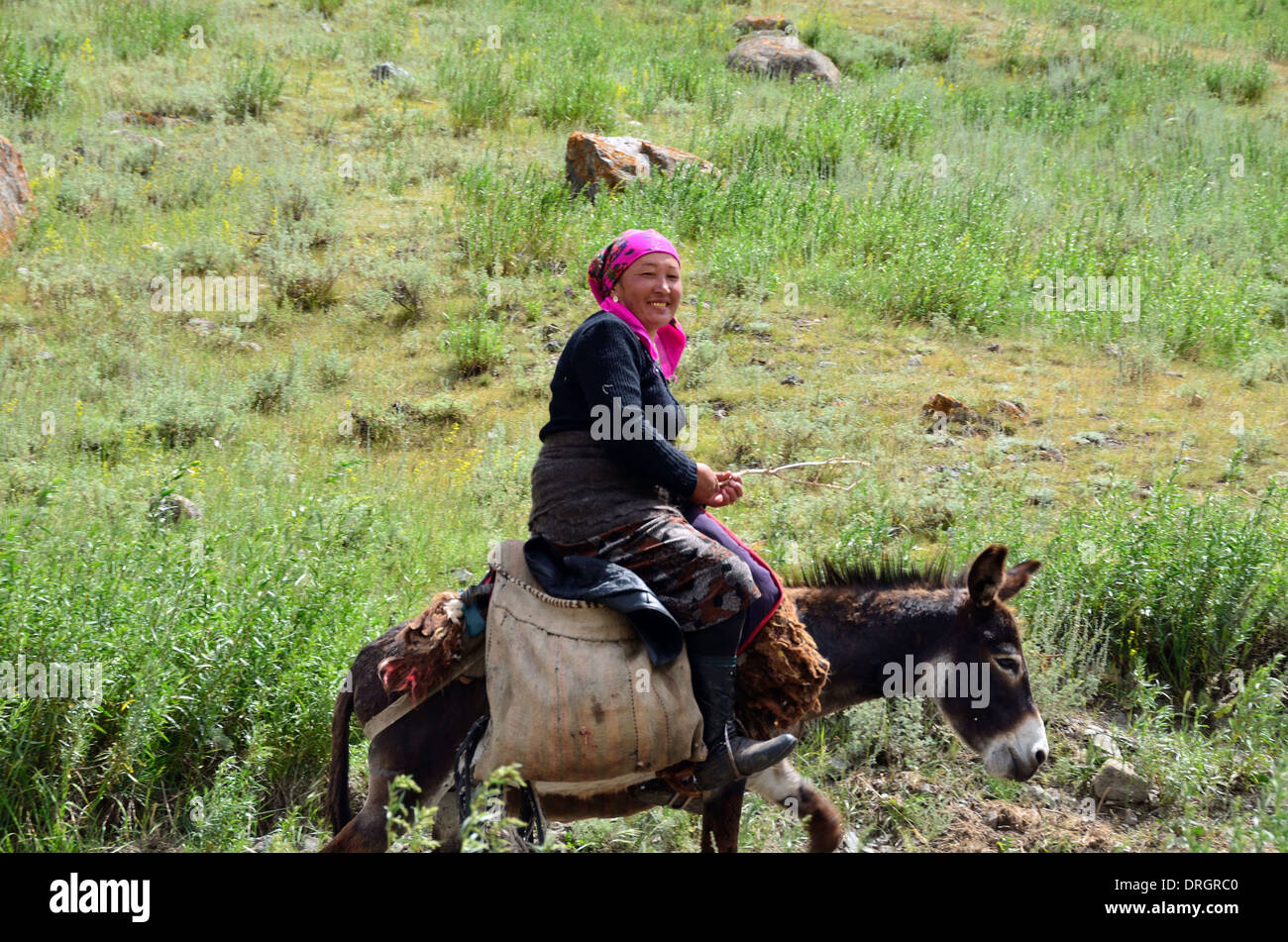 Mujer Kyrgyz cabalgando un burro en las montañas del sur de Kirguistán Foto de stock