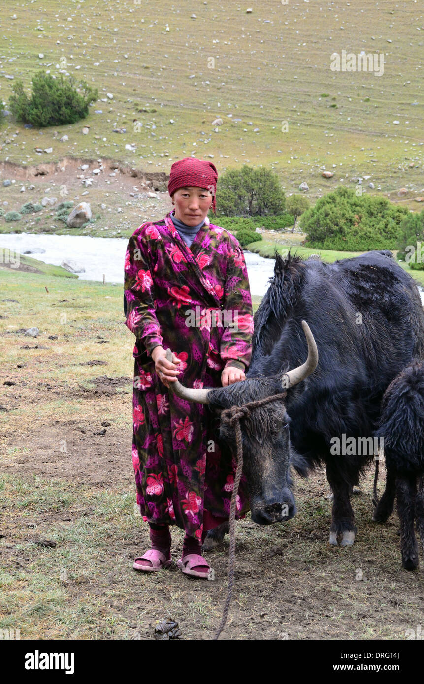 Mujer kirguisa con un yak en las montañas del sur de Kirguistán Foto de stock