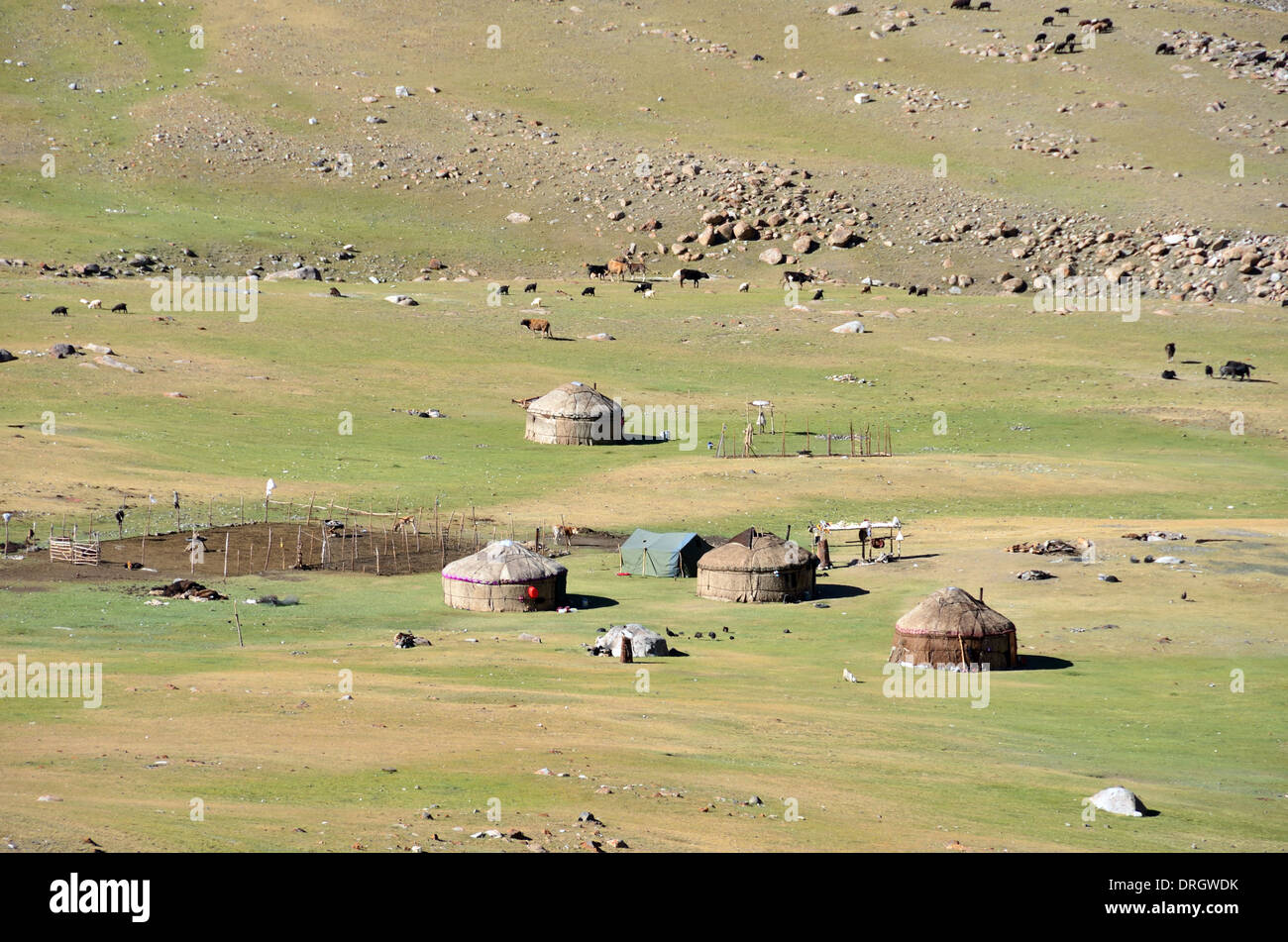 Yurts kirguís en las montañas del sur de Kirguistán Foto de stock
