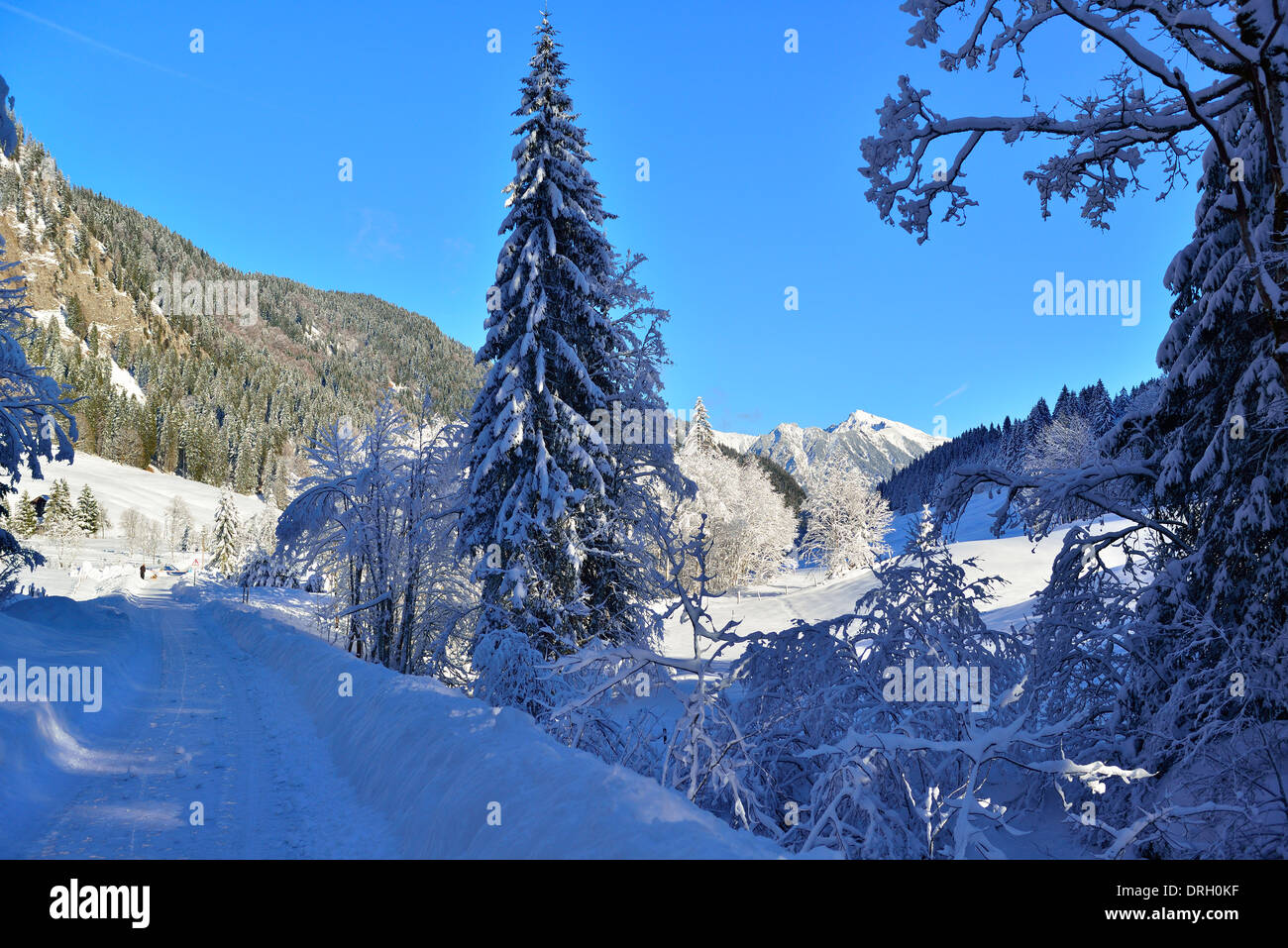 País de las maravillas invernal en valle Rohrmoos(Tiefenbach)justo en las afueras de Oberstdorf im Allgäu, Alemania Foto de stock