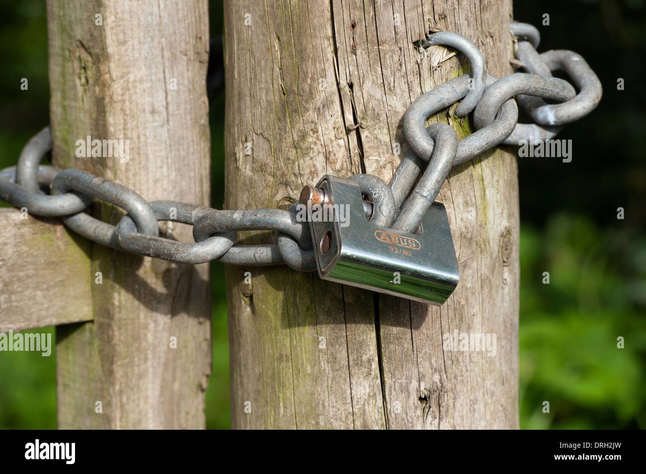 Puerta de madera con cadena y candado de servicio pesado para la seguridad  Fotografía de stock - Alamy