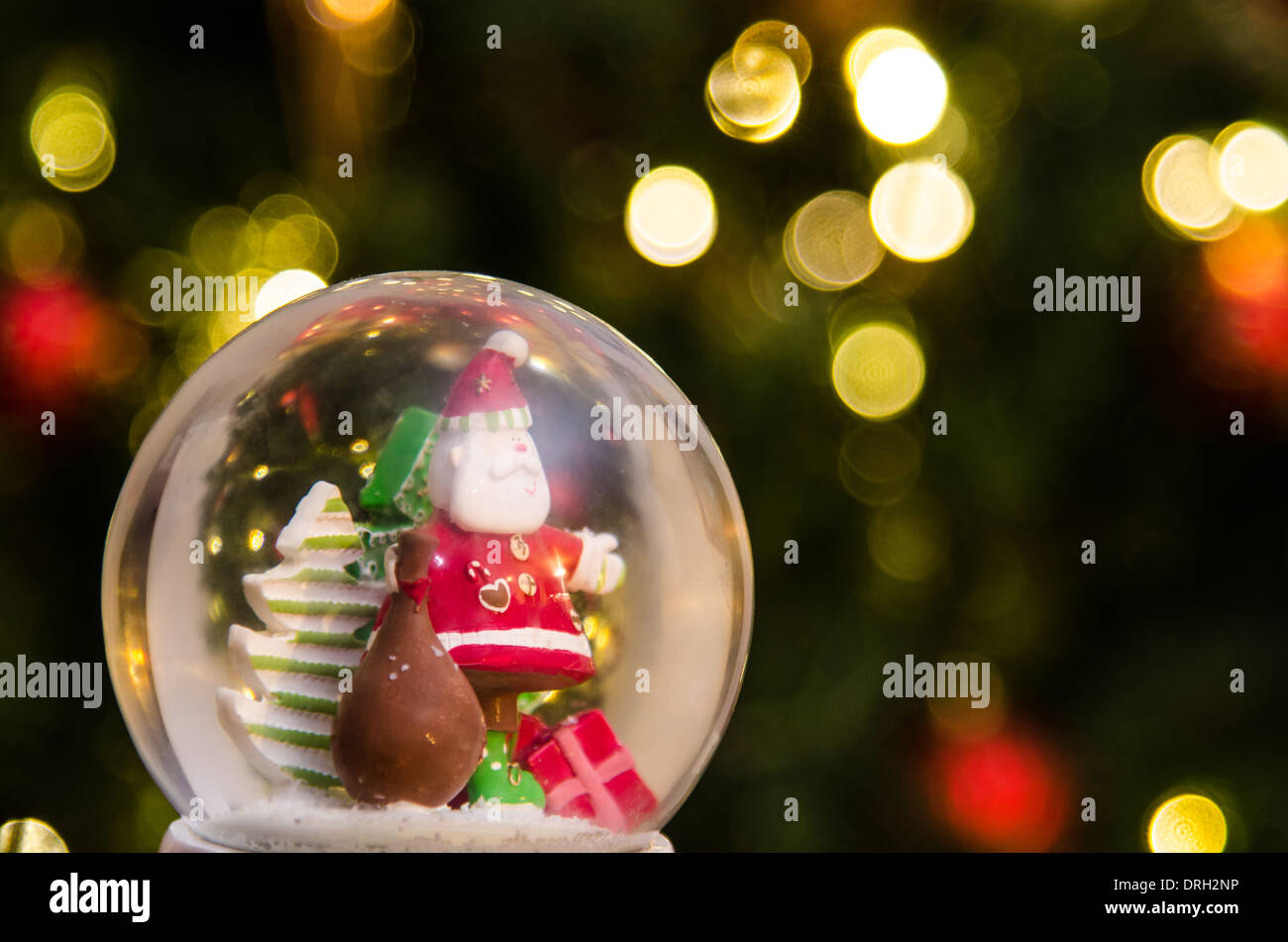 El Padre Navidad Snowglobe delante de un iluminado árbol de Navidad Foto de stock
